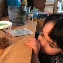 Montessori Cultural Learning - The Early Childhood